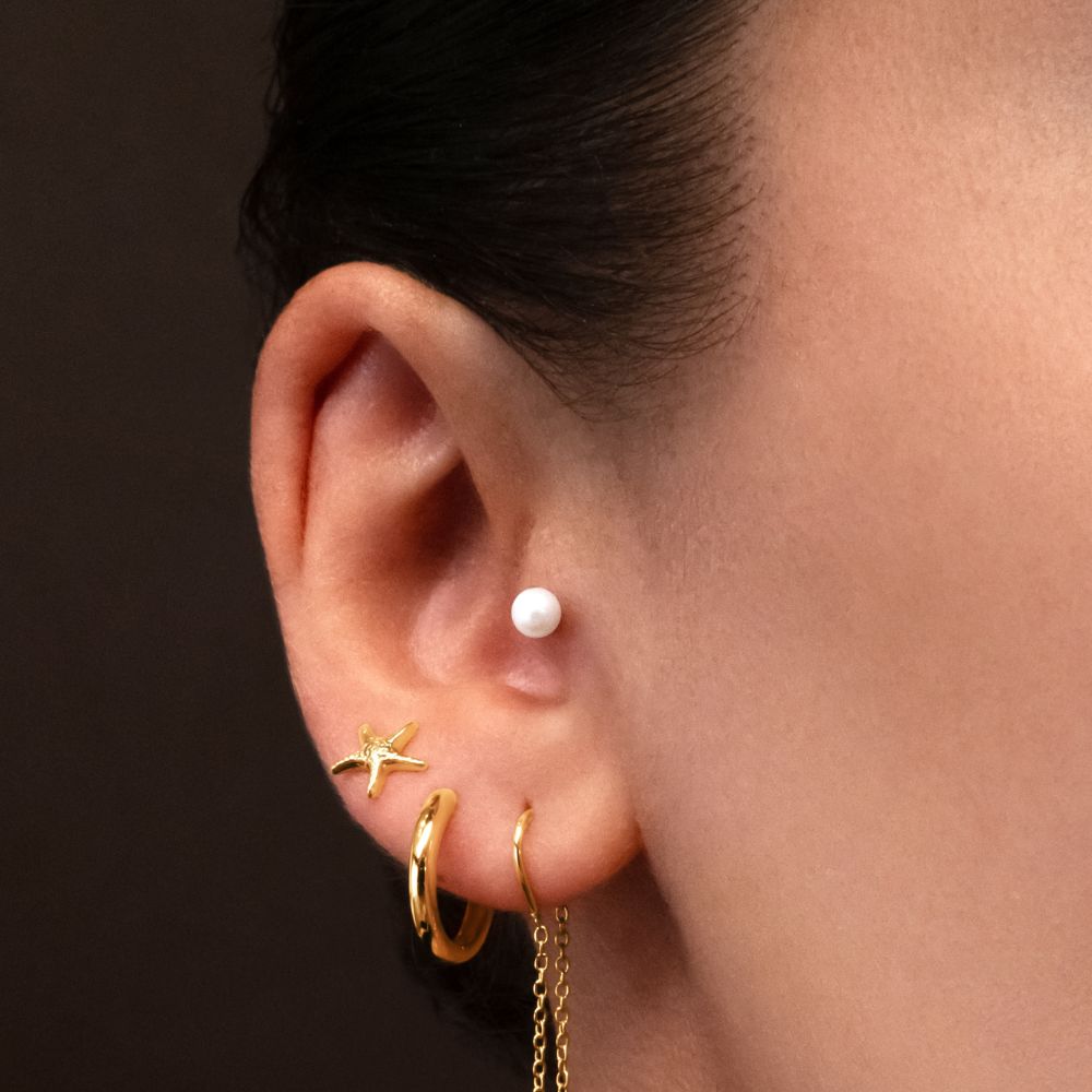 Fancy starfish earrings in 18 carat yellow gold vermeil