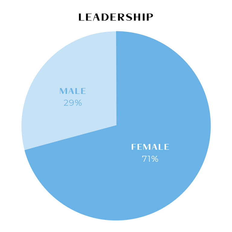 Split-Image_Leadership-Pie